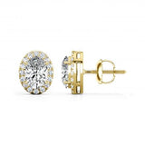 Oval Cut Diamond Halo Stud Earring